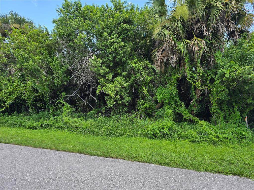 4048 Gallo Street - Photo 1