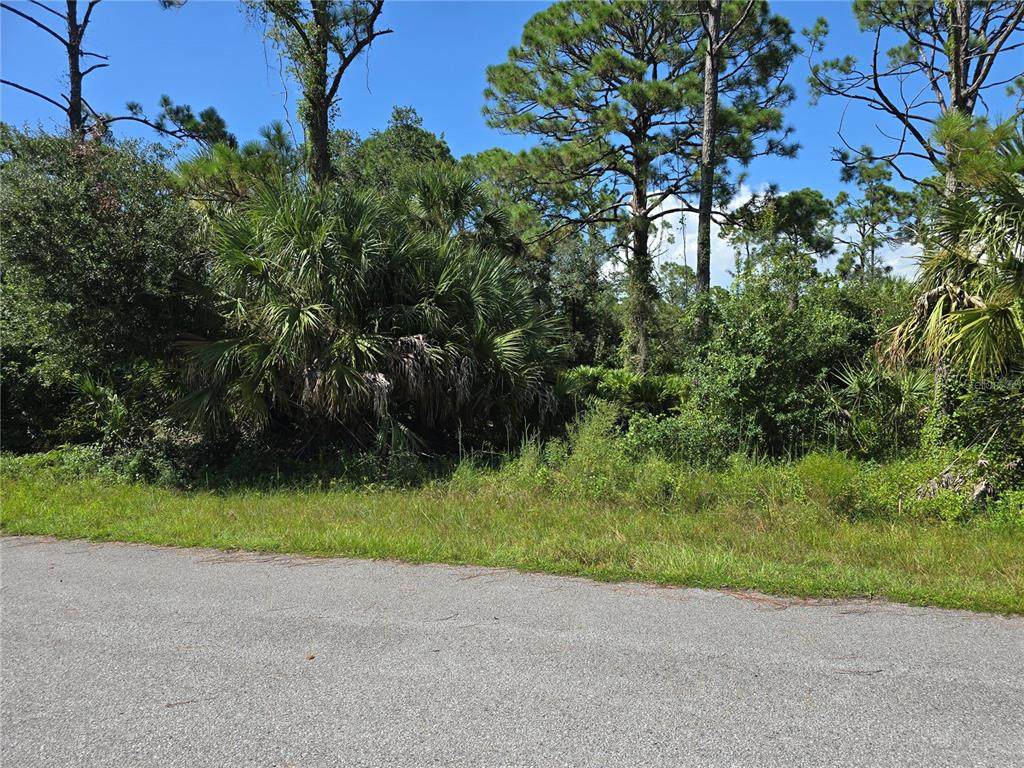 14506 Carousel Lane - Photo 1