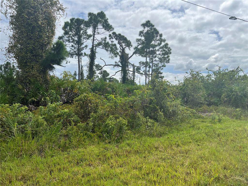 8178 Dimstead Street - Photo 1