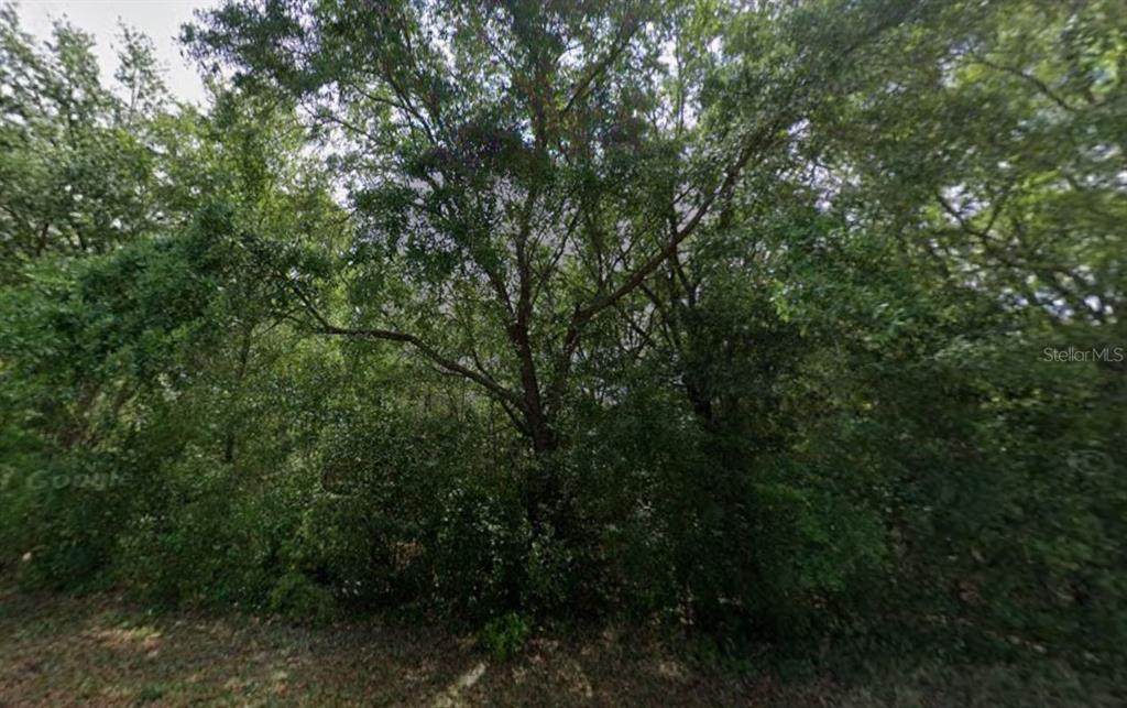 86 Chinaberry Circle - Photo 1