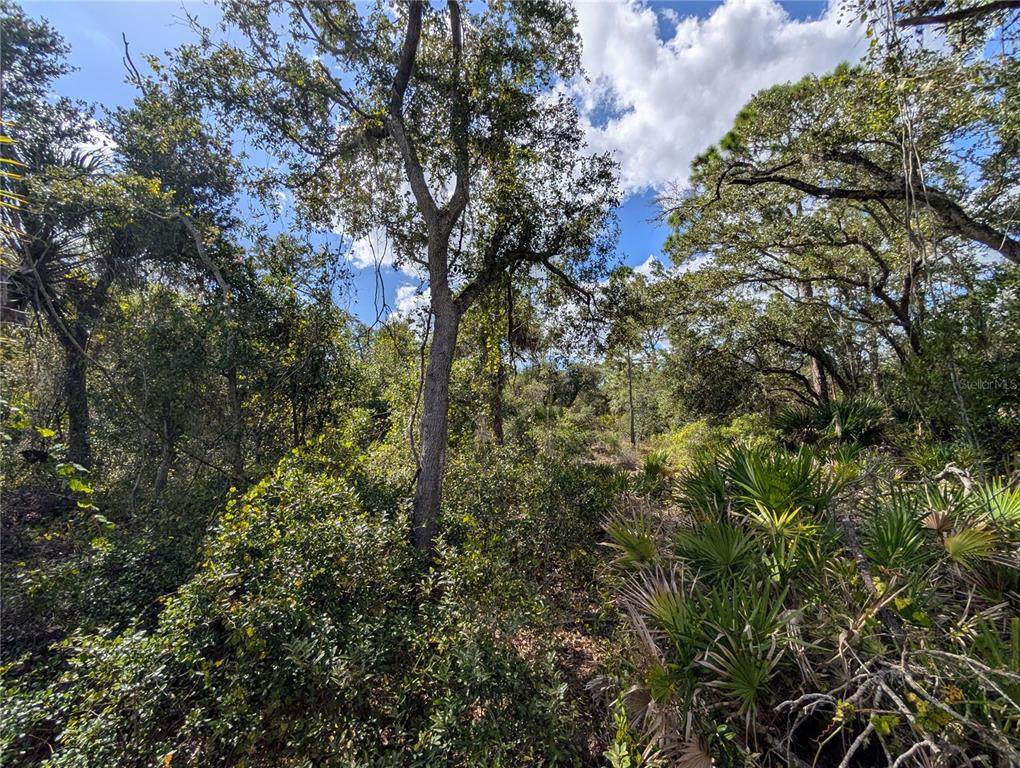 181 Juper Street - Photo 1