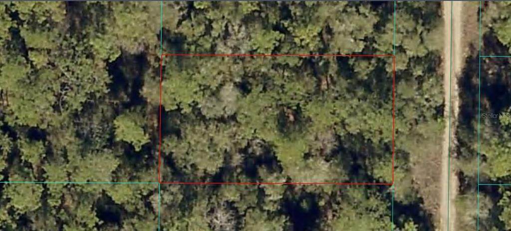 2003-105-011 159TH Avenue - Photo 1