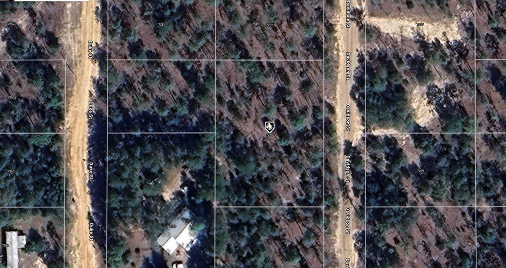 7260 Davidson Street - Photo 1