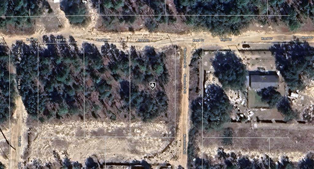 7232 Woodstock Street - Photo 1