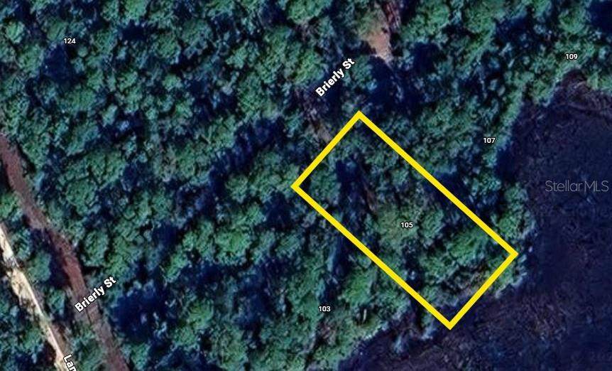 105 Brierly Street - Photo 1