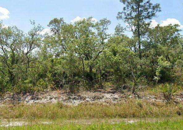 978 Archie Summers Road - Photo 1