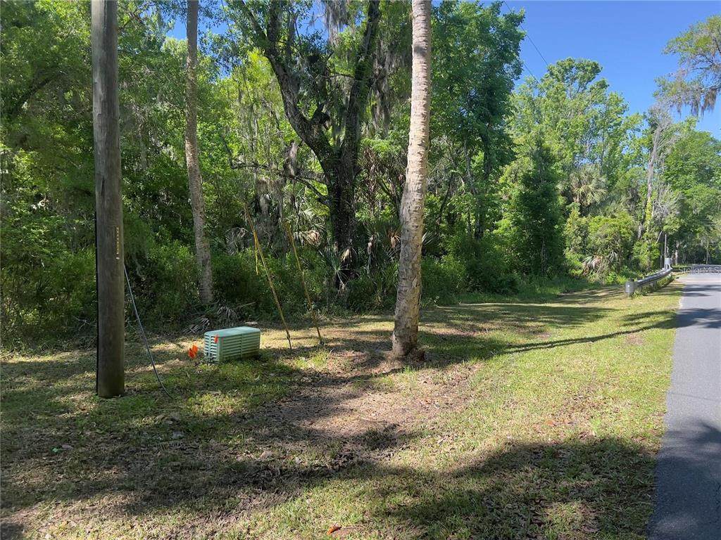 450 Crystal Street - Photo 1