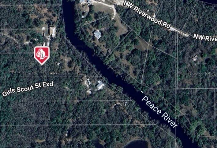 1991 Girl Scout Road - Photo 1