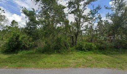 14266 Bastogne Avenue - Photo 1