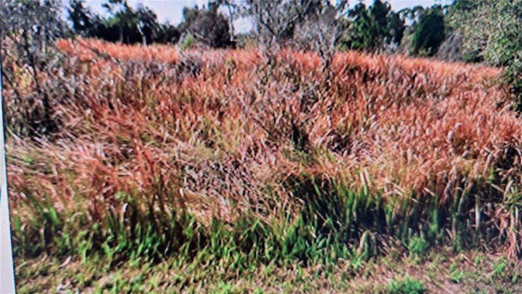  Jaylene Road - Photo 1