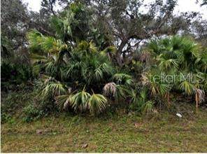  Kaayan Street - Photo 1