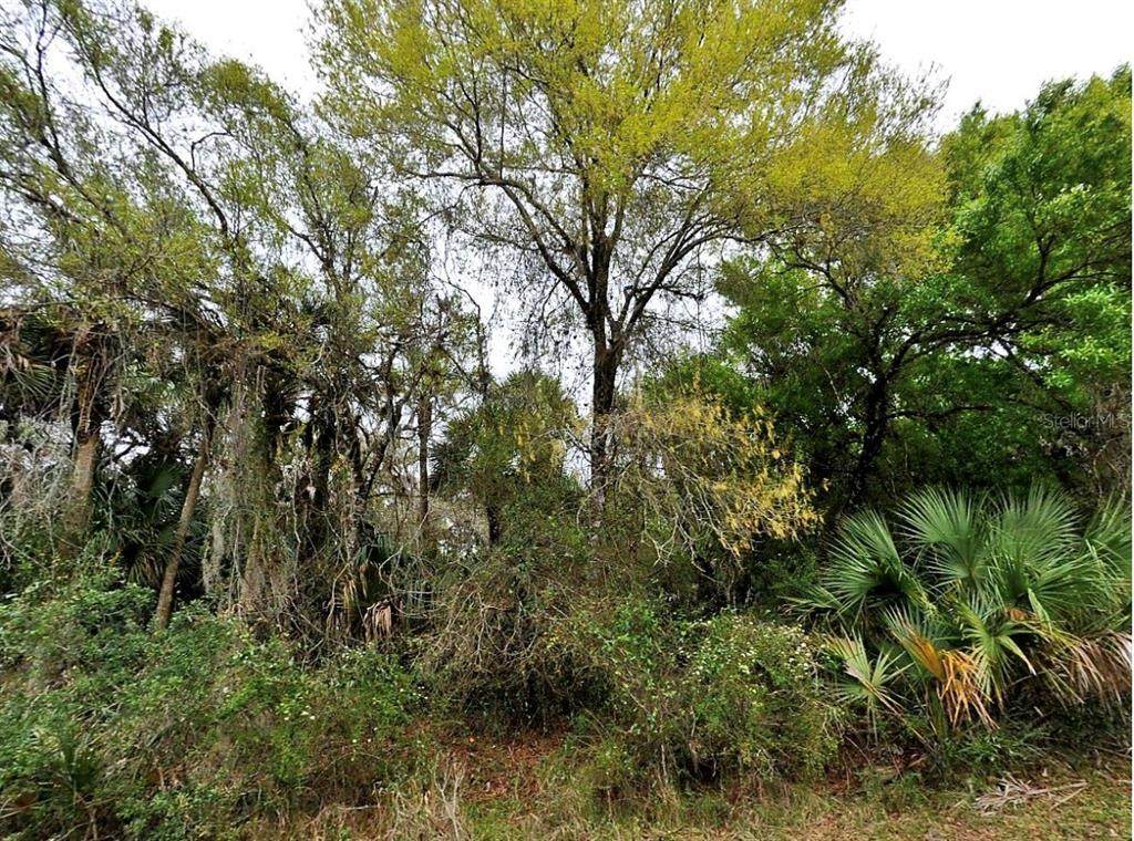  Backert Rd. - Photo 1