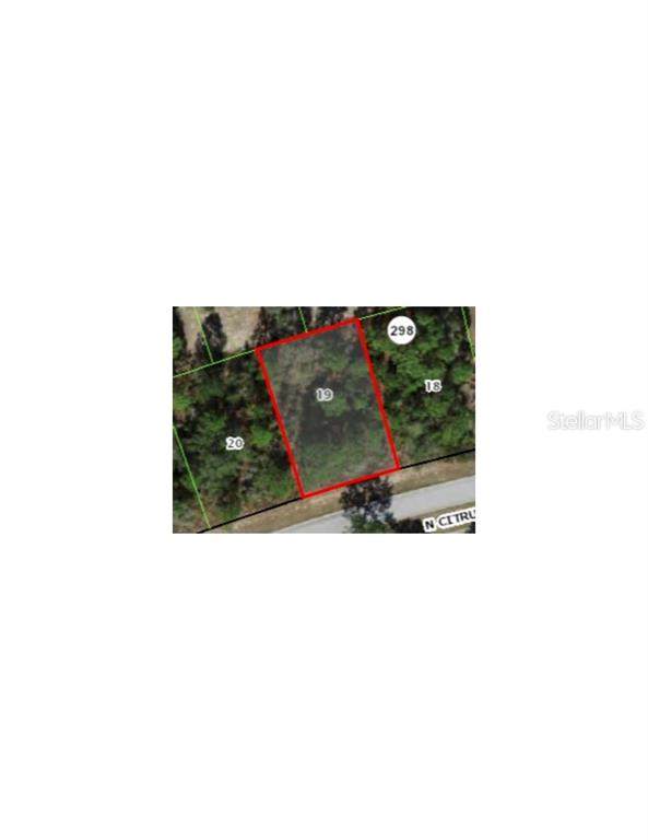 9236 Citrus Springs Boulevard - Photo 1