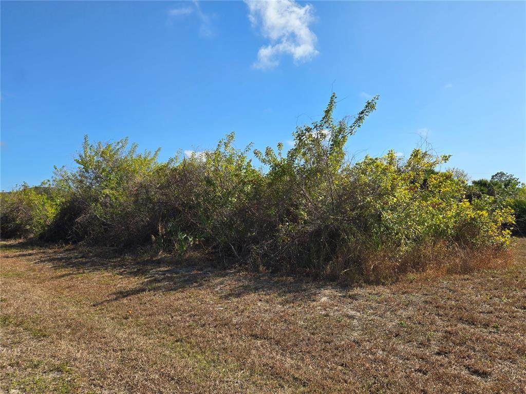 277 Baytree Drive - Photo 1