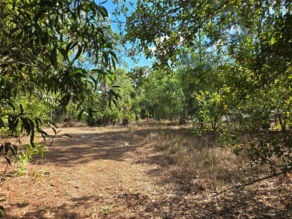 12312 Green Gulf Boulevard - Photo 1