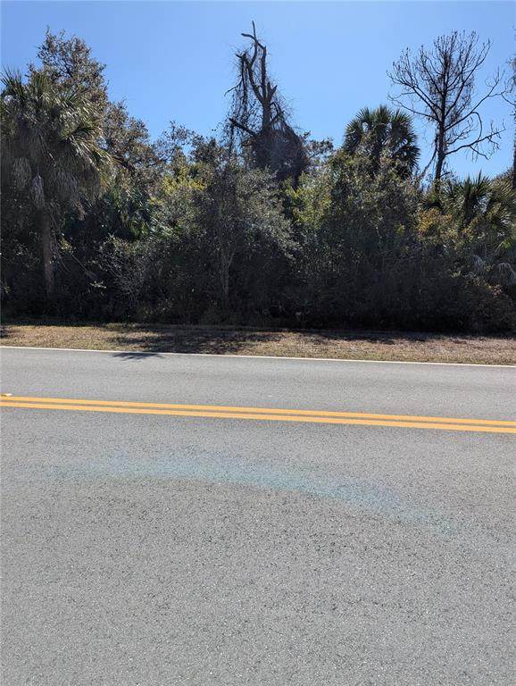 Lots 1,2&3 De Leon Drive - Photo 1