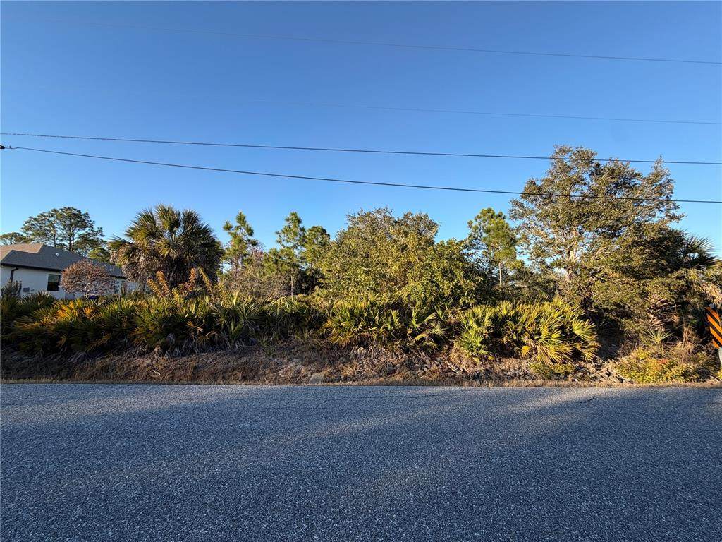 Lots 35 & 36 Hernando Road - Photo 1