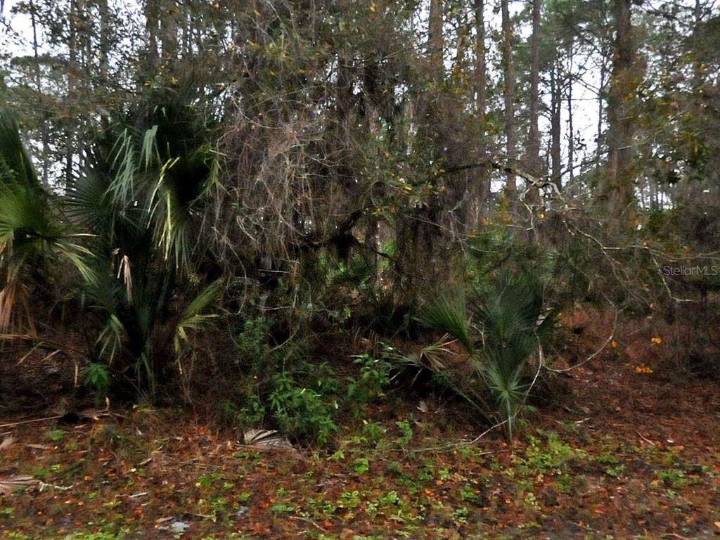  Neon Avenue - Photo 1