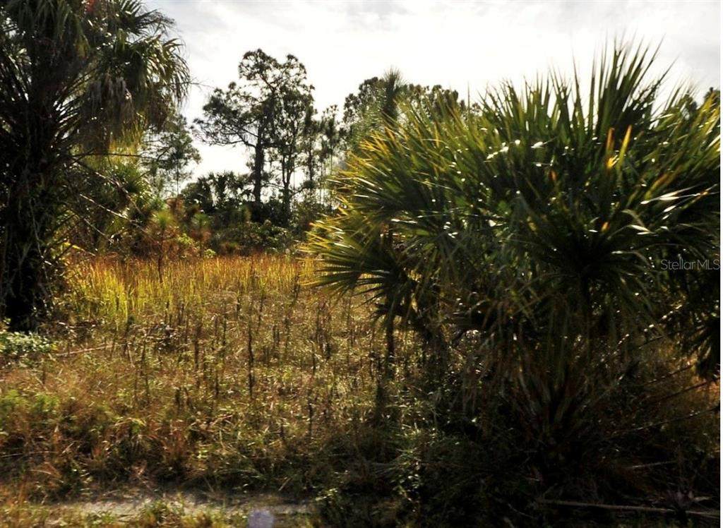  Dalewood Circle - Photo 1