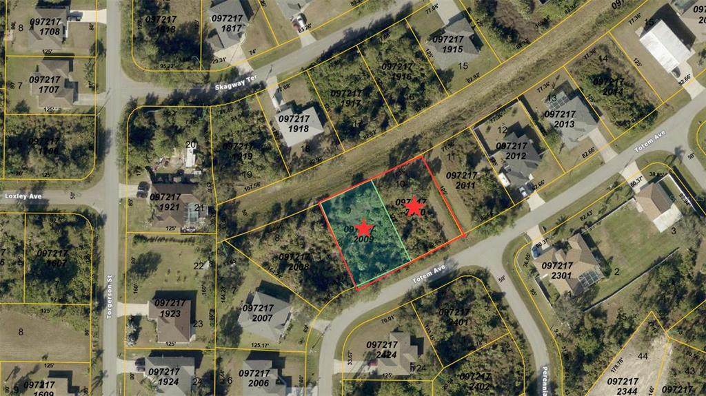  Totem Avenue - Photo 1