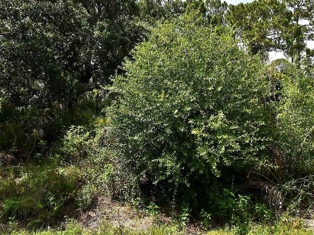 Lot 16 Rentscher Avenue - Photo 1