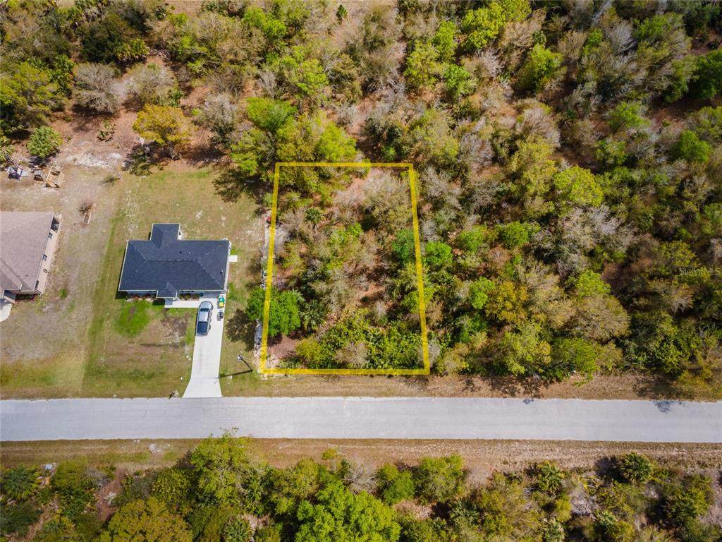 7084 Lippman Road - Photo 1