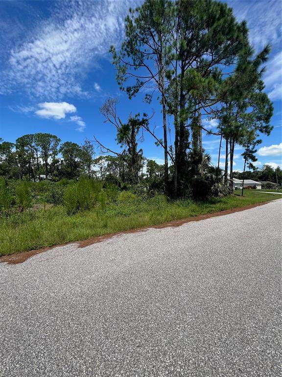 4841 O Shea Street - Photo 1