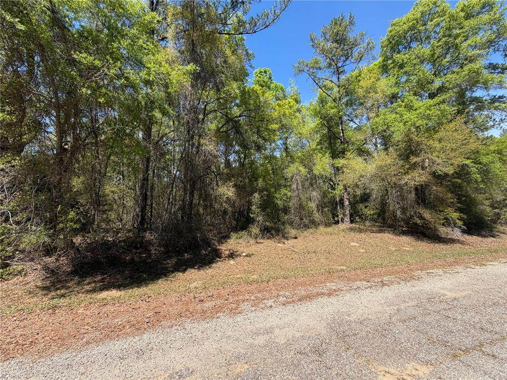 8512 Escobar Road - Photo 1