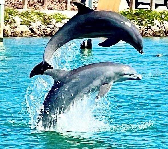 https://bt-photos.global.ssl.fastly.net/mfr/orig_boomver_3_A4691406-2.jpg