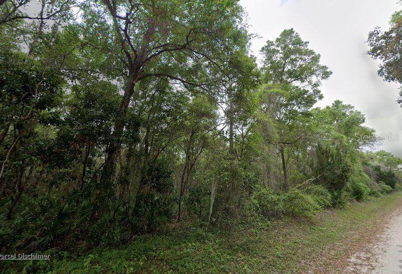 88 463RD Avenue - Photo 1