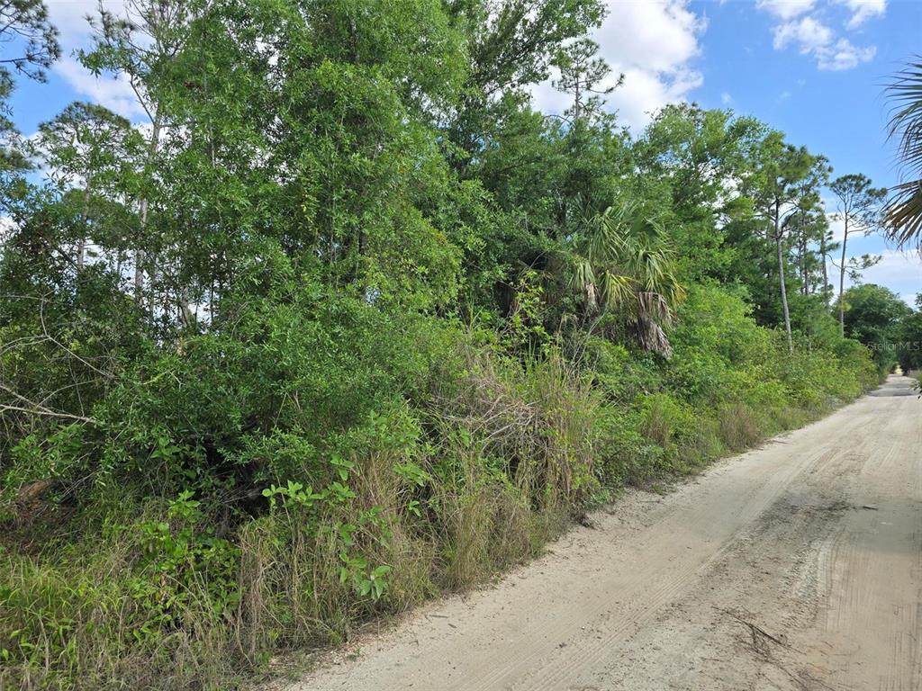 8442 Grove Boulevard - Photo 1