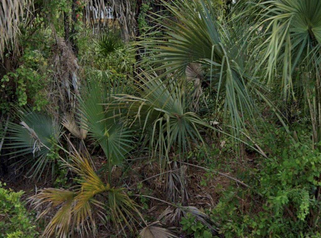 7879 Grafton Road - Photo 1