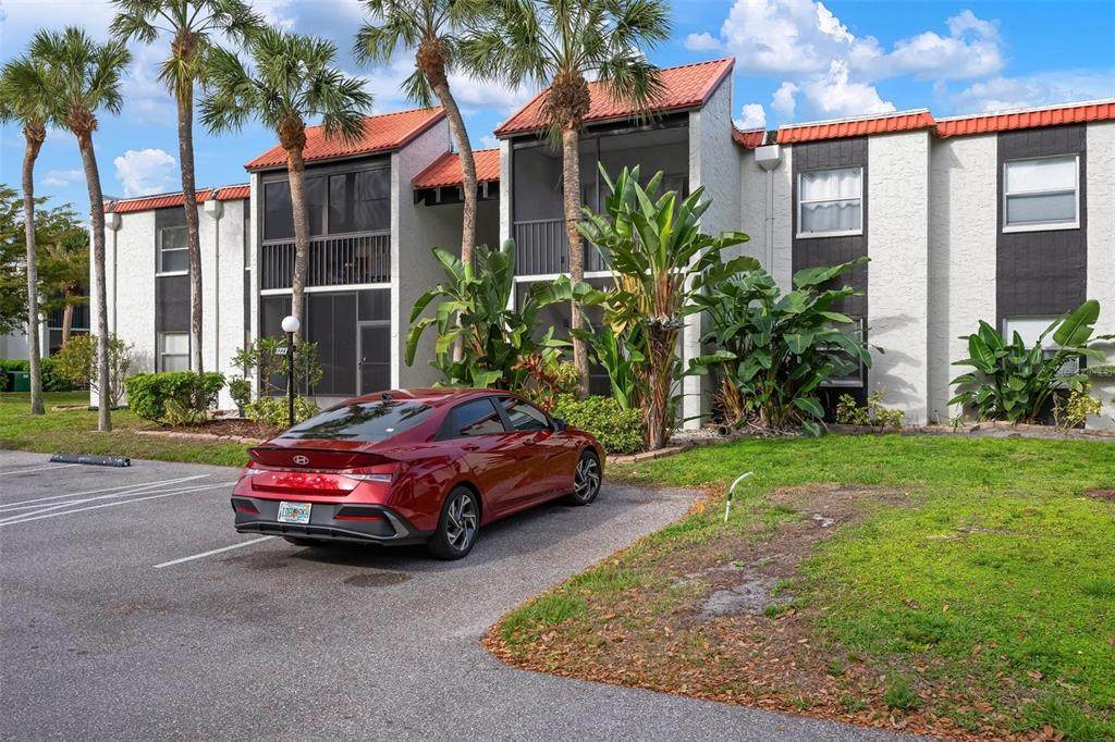 3223 Beneva Road - Photo 1