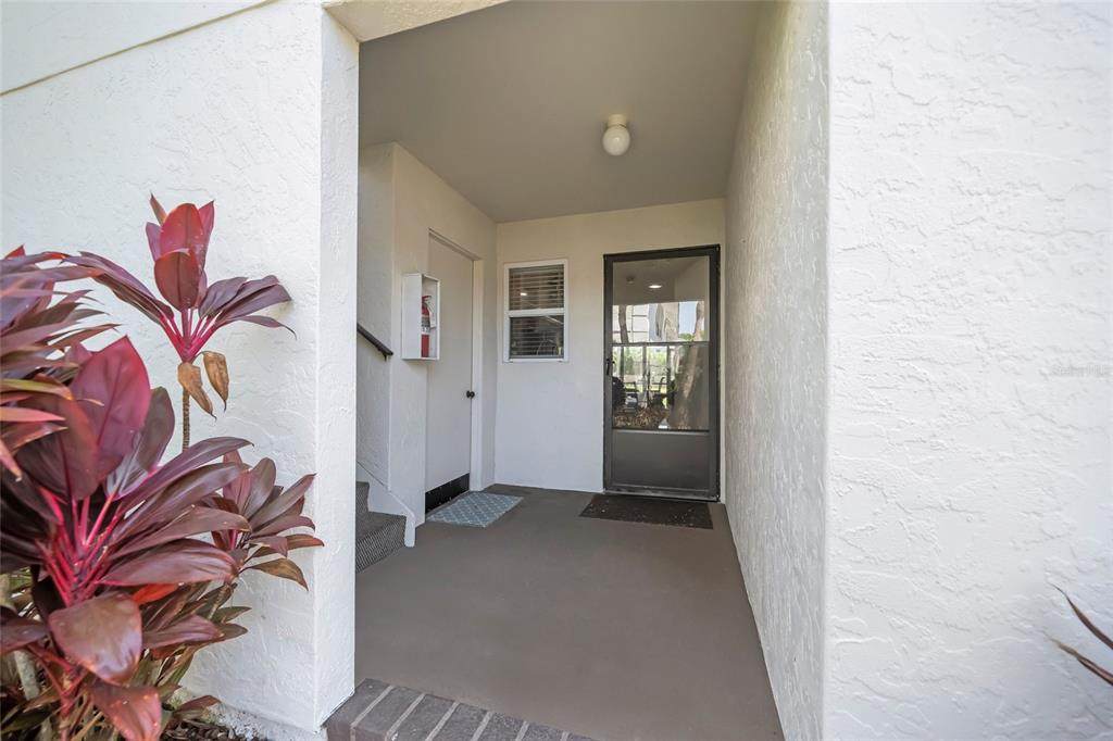 5619 Midnight Pass Road - Photo 1