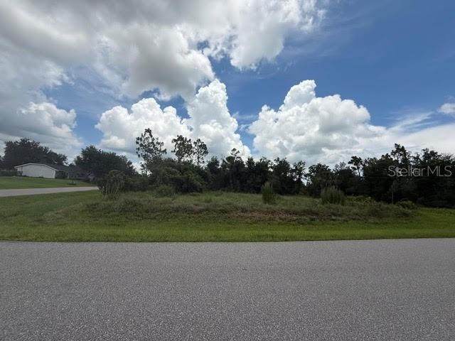 29500 Lillis Street - Photo 1