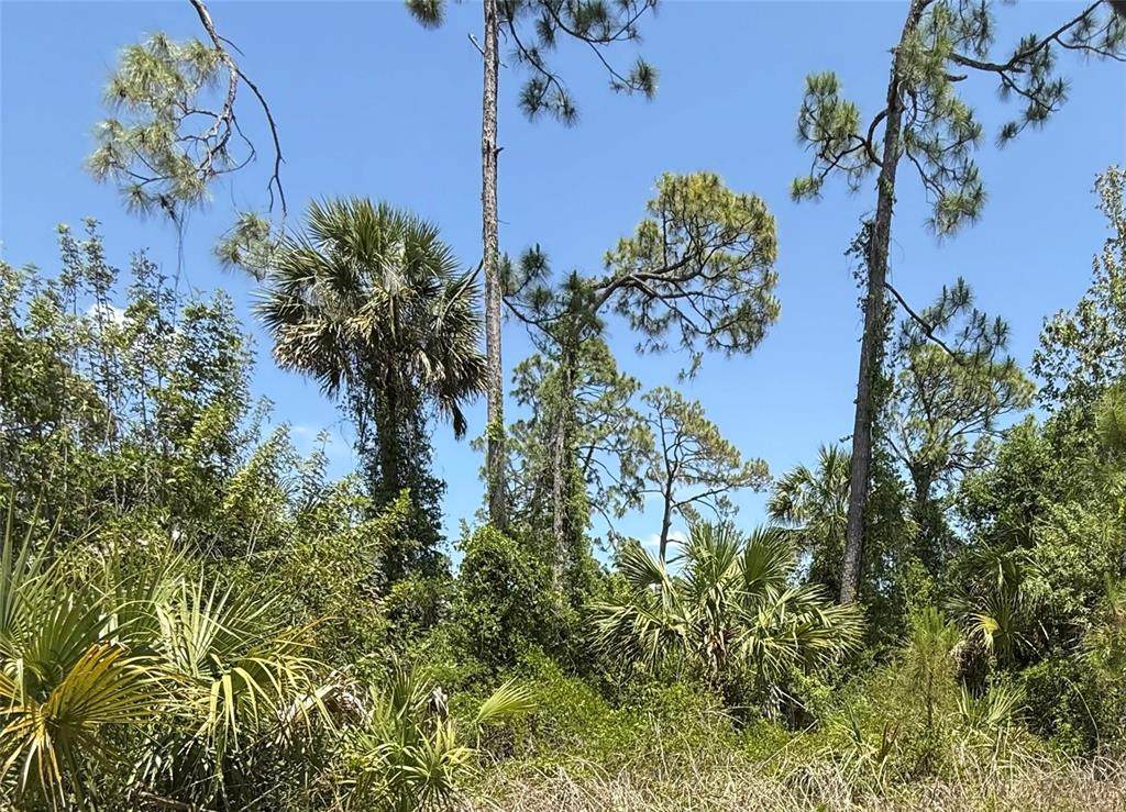 Lot 15 Coastal Street - Photo 1