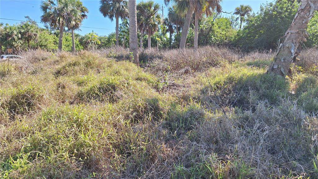 3173 Rock Creek Drive - Photo 1