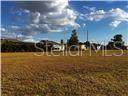 25450 Islas Drive - Photo 3