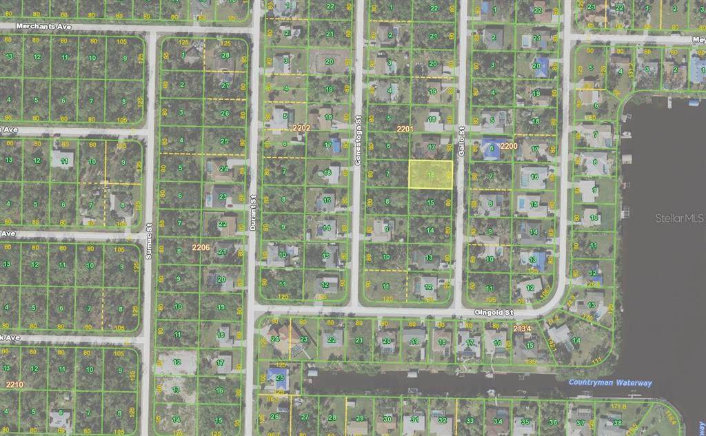 4103 Gallo Street - Photo 1
