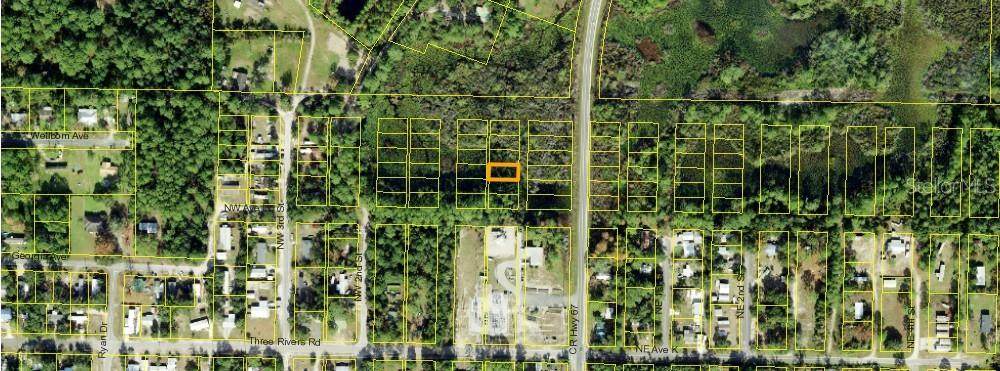 1305 Copesetic Street - Photo 1