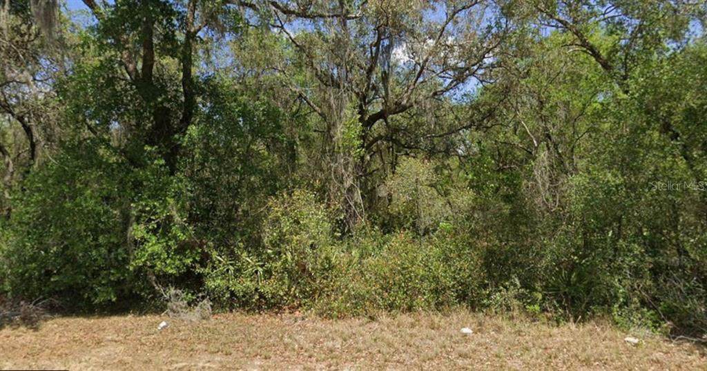 21175 142ND Lane - Photo 1