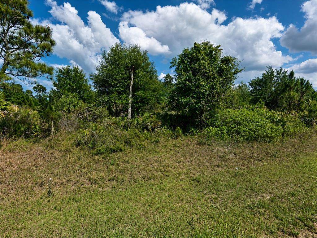 Lot 11 Chinabox Street - Photo 1