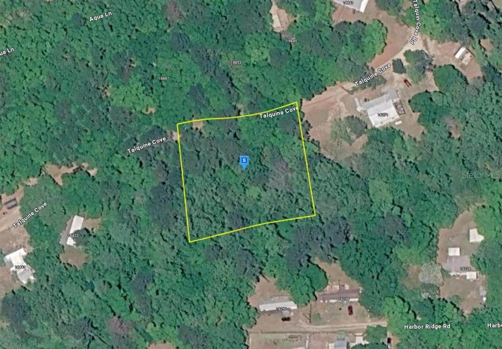16305 Talquin Cove Road - Photo 1
