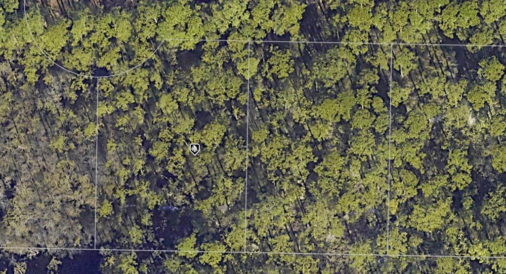 30-2S-20-33308-000-0 Long Leaf Circle - Photo 1