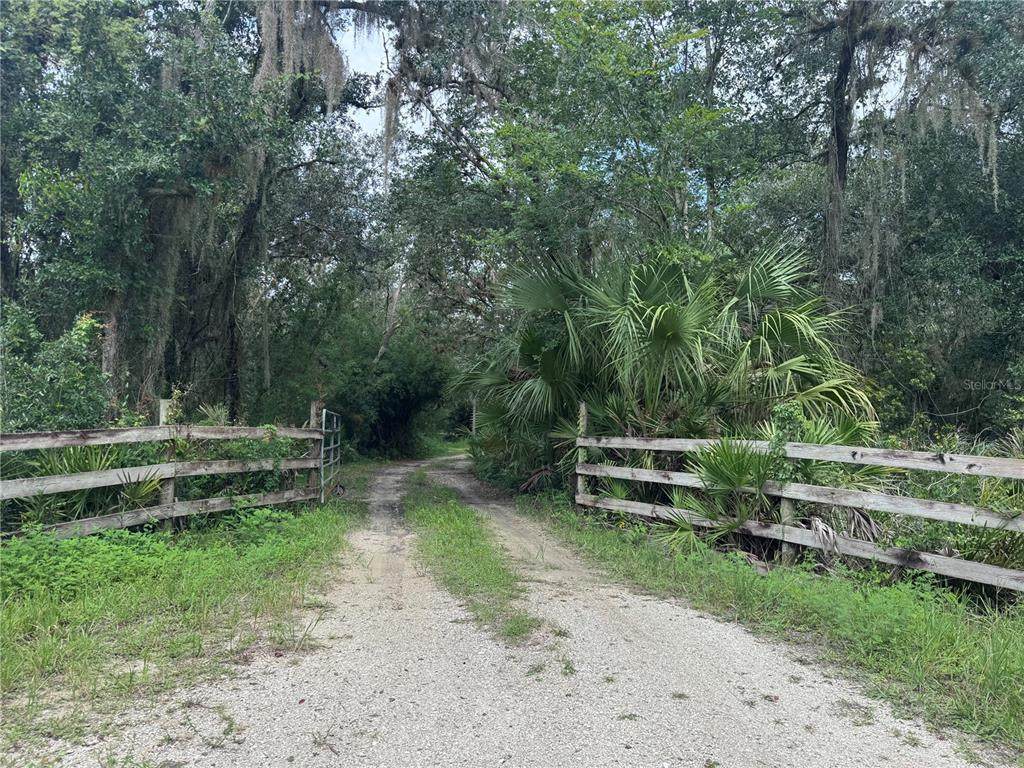2963 Sw Armadillo Trl - Photo 1
