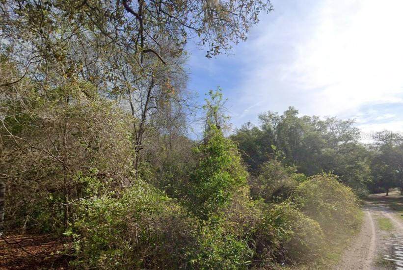 0 437TH AVE - Photo 1