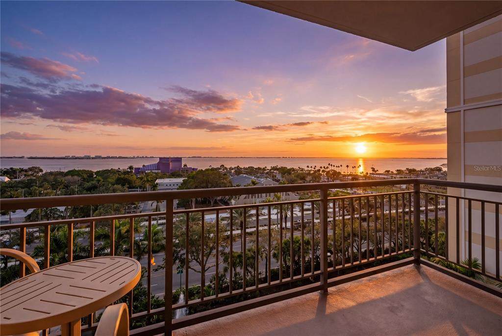 800 Tamiami Trail - Photo 1