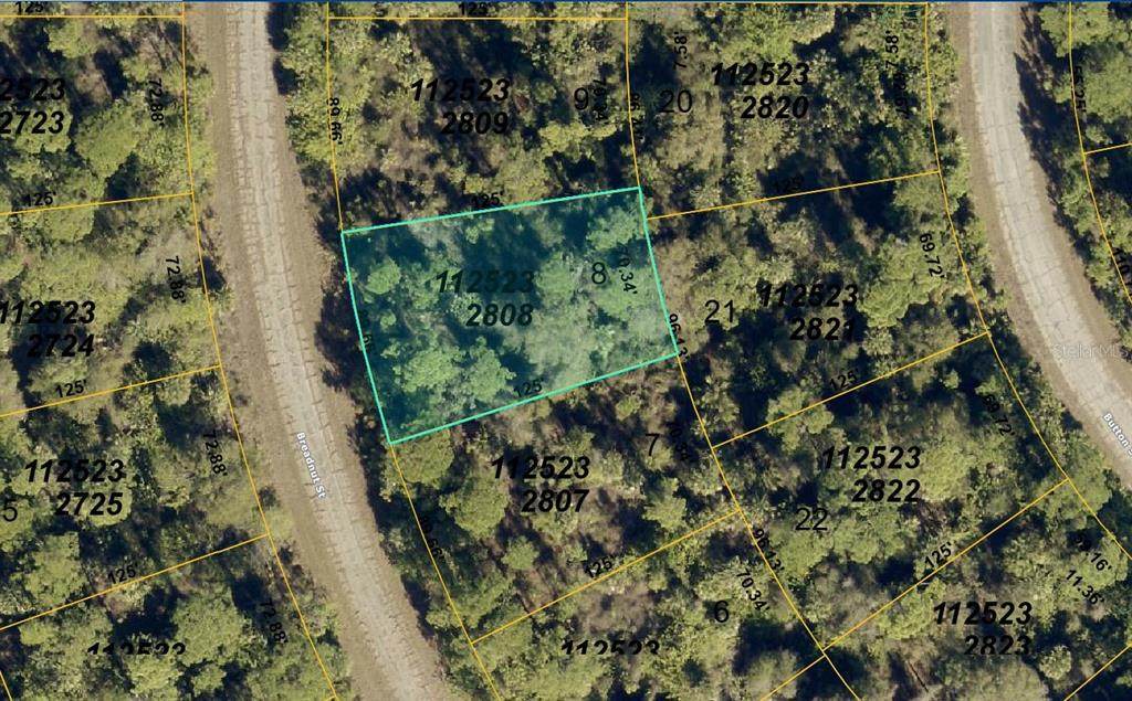 1125232808 Breadnut Street - Photo 1
