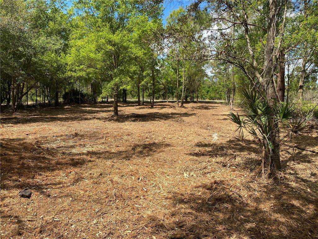 Lake Buffum Road - Photo 1