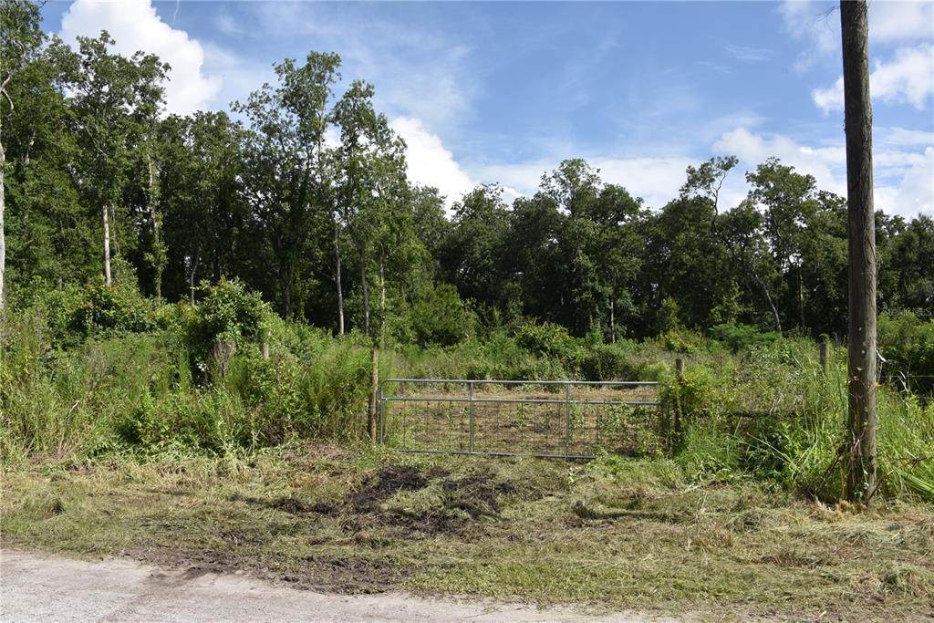 Thornhill Road - Photo 1